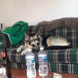 Meet your Posher, Christine